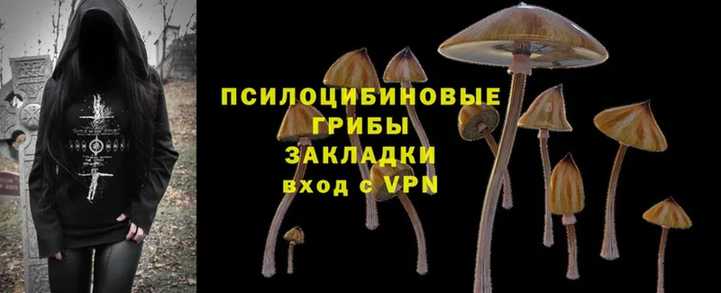 Псилоцибиновые грибы MAGIC MUSHROOMS Богородск